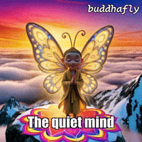 Unity Butterfly GIF by BuddhaFlyJourney