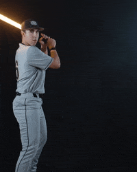Baseball Point GIF by Purdue Fort Wayne Athletics