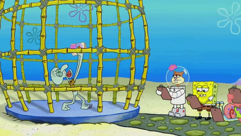 season 9 the fish bowl GIF by SpongeBob SquarePants