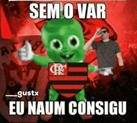 Var Fla GIF