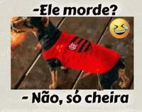 Mengao GIF