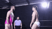 SHWAWrestling what shove jive perth wrestling GIF