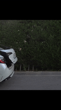 Sport Fun GIF by RSPro