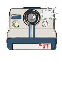 Summer Hawaii Sticker by Il Gufo