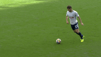 london football GIF by Tottenham Hotspur