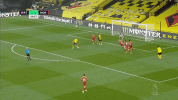 Premier League Goal GIF by Watford Football Club