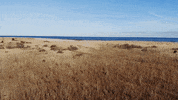 From Above Drone GIF by Chris