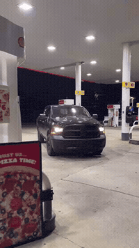Stefy GIF