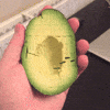 National Avocado Day GIF