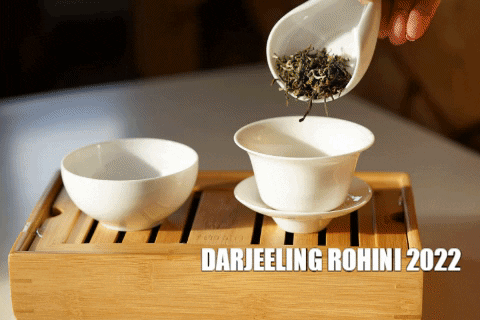 barovnacarovna giphygifmaker tea caj darjeeling GIF