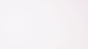 GIF by Studio Flox
