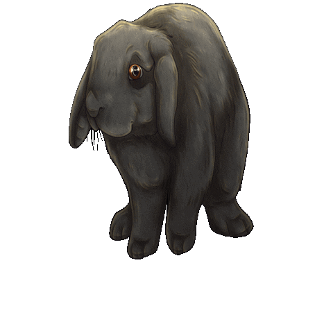 Lapin Sticker