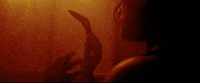 Fear And Loathing Fire GIF by Sub Pop Records
