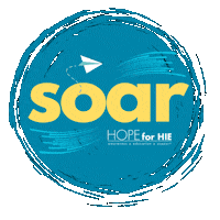 Soar Sticker by Hope for HIE