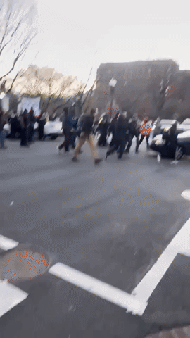 Driver Disrupts Pro-Palestine Protest Ahead of State of the Union Address