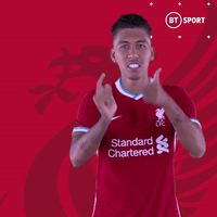 Van Dijk Smh GIF by BT Sport