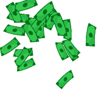Make It Rain Money Sticker by Taxfix