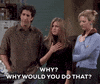 Why Would You Do That Season 5 GIF by Friends