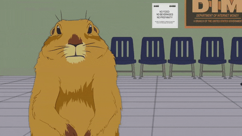 man gopher GIF by South Park 
