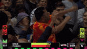 Cricket GIF by The Hundred