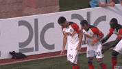 Soccer Dancing GIF by USL