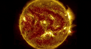 eruption sun arching GIF by NASA