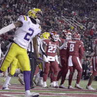 College Sports Sport GIF by LSU Tigers