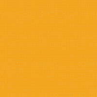 Vivacity GIF by BDHCollective