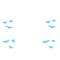 Tour Turismo Sticker by Decameron Hotels