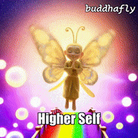GIF by BuddhaFlyJourney