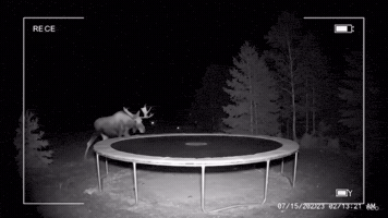 Ai Jumping GIF by Respective