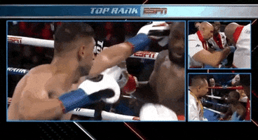 toprank boxing fighting espn fighters GIF