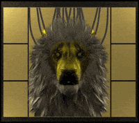 Ingonyama gpu cpu zk zkp GIF