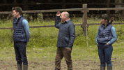 Euskara Euskalherria GIF by EiTB
