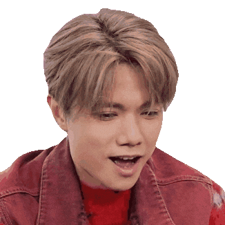 張敬軒 Wtf Sticker