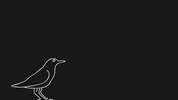 Cga GIF by UFSCSustentavel