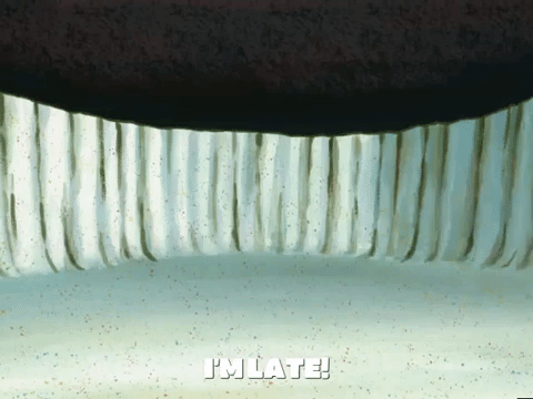 season 5 episode 3 GIF by SpongeBob SquarePants