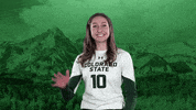 Volleyball GIF by Colorado State Rams