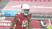 Regular Season Football GIF by NFL