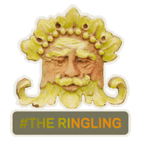 Art Florida Sticker by TheRingling