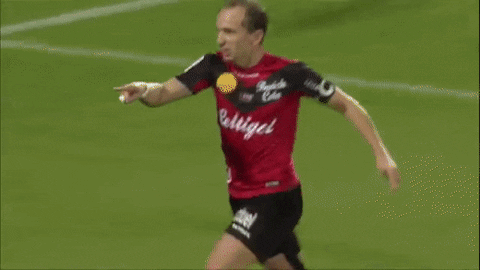 Ligue 1 Bzh GIF by EA Guingamp