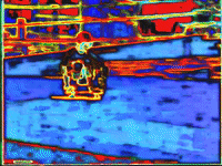 summer colors GIF by MFD