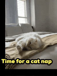 GIF by PekoeMortgages