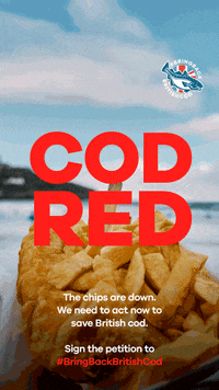 GIF by Blue Marine Foundation