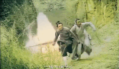 bao qing tian GIF