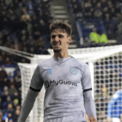 High Five Goal GIF by MillwallFC