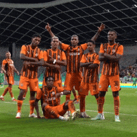 Pedro Henrique Football GIF by FC Shakhtar