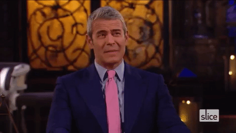 slice giphygifmaker andy rhony real housewives of new york GIF