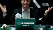 Shiba GIF by SHIBABETS.GG