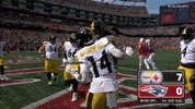 Excited Celebration GIF by Pittsburgh Steelers